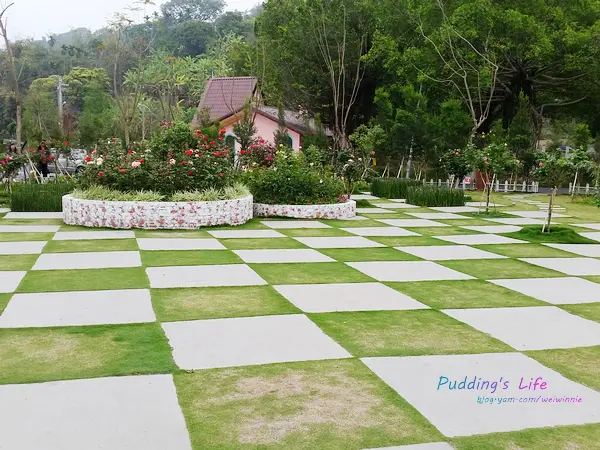 【雲林旅遊】古坑耐斯觀光工廠/浪漫玫瑰花園《蘿莎玫瑰山莊Rosahill》免費入園參觀