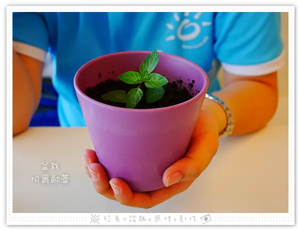 [台南食記] I-Mita愛米塔。早午餐。輕食。蜜塔~超值大份量套餐！親愛的，你真的要吃盆栽？！