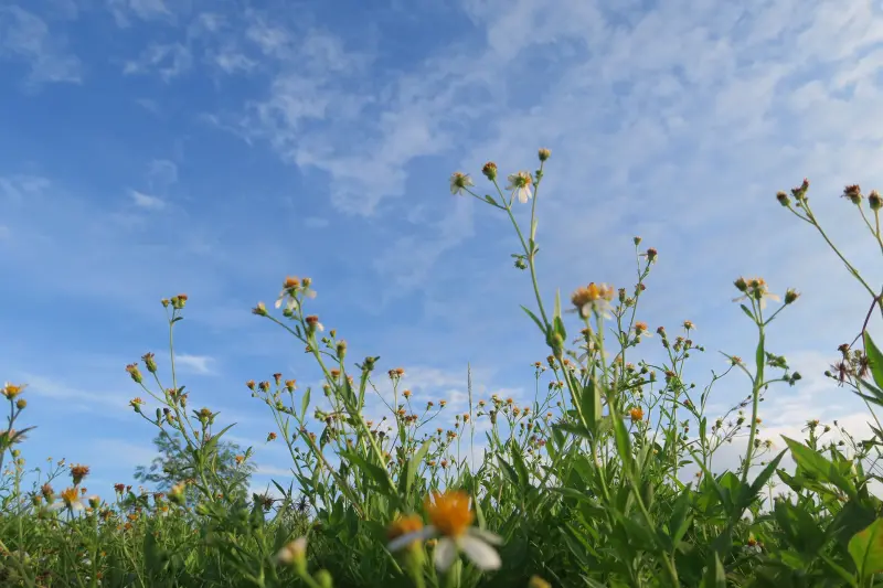 [花蓮] HUALIEN TRAVEL 💙 四八高地♛奇萊鼻♛美崙鼻~海岸路~