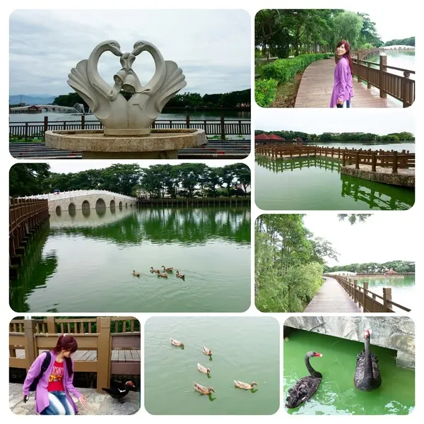 【台南景點】天鵝湖環保水上公園~木棧道垂柳隨風搖曳❤不僅浪漫又充滿詩意❤              