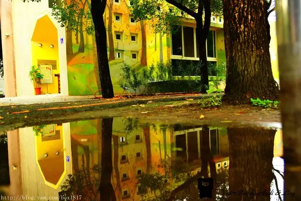 【彰化。大村】走進繪本的世界。村東國小圖書館