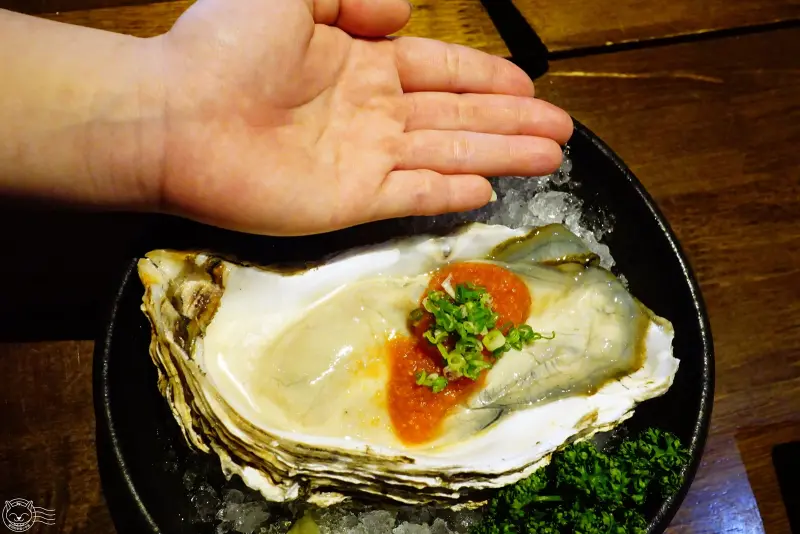 ※ 將軍府 ※ 宵夜好選擇！夭壽好吃串燒居酒屋，氣氛、食材、餐點無一不優，清酒酒款種類多又多唷~【星羽是吃貨-台中西屯】