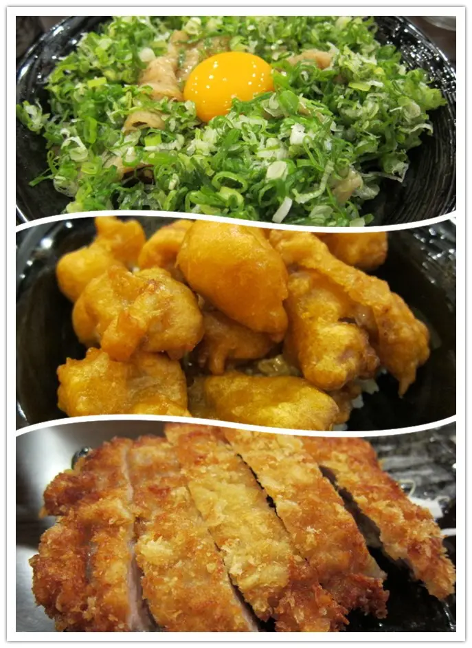 (台北)當代藝術館前飯量十足丼飯- 新丼              