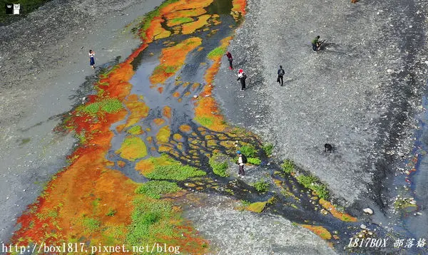 【南投。仁愛】季節限定。滿江紅。大自然的抽象畫作。空拍篇