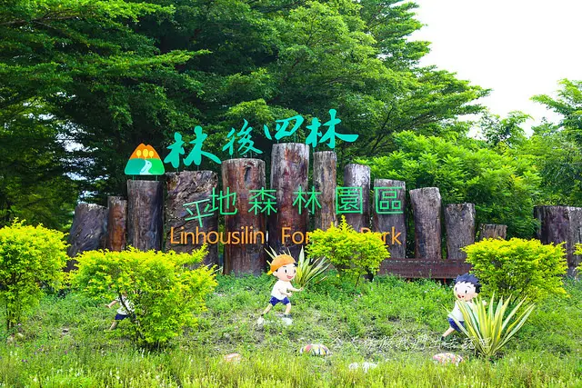 林後四林平地森林園區。腹地超廣大。有龐大的綠意還有裝置藝術