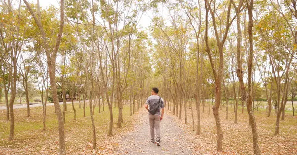【屏東旅遊】潮州林後四林平地森林園區◆屏東免費森林好去處◆大片綠色森林遛小孩、放風箏、野餐、毛小孩放電好去處