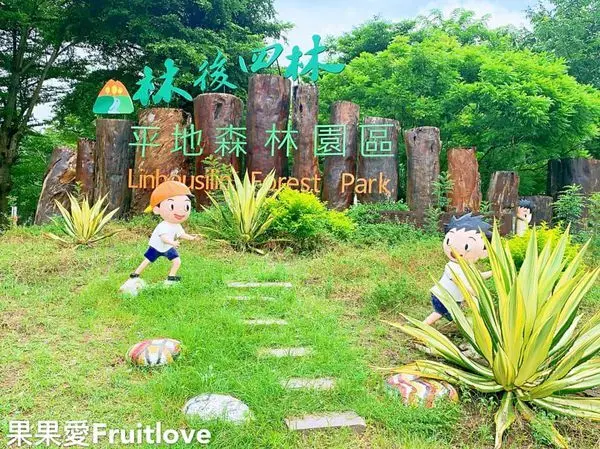 不用上山就可以享受滿滿的芬多精　還有許多自然生態可以觀賞　林後四林平地森林園區　親子寵物友善　屏東旅遊　森呼吸