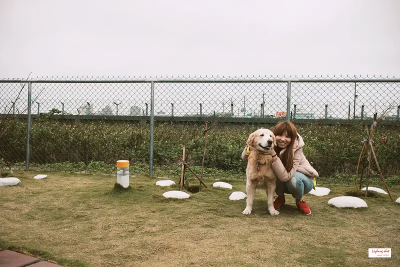 小狗的第三航廈咖啡野放