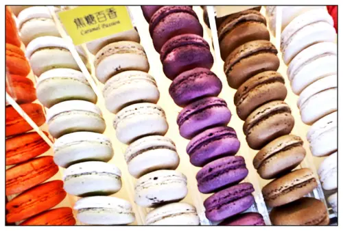 【吃喝玩樂】健康紮實的純巧克手工坊　甜食族的最愛