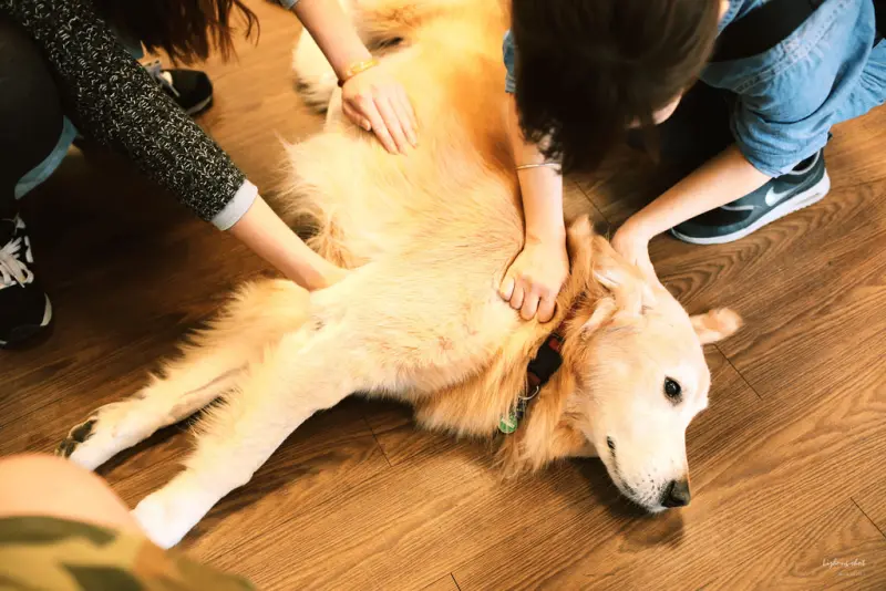 三月夏天的簡短摘要