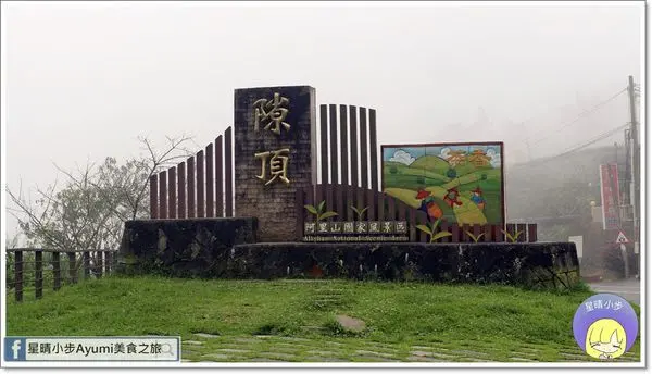 [浪漫阿里山系列]在雲霧飄渺中之旅－每一個值得收藏的瞬間、透過在地茶人以植採、花藝融合茶道，將生活情境化為美學與人分享！