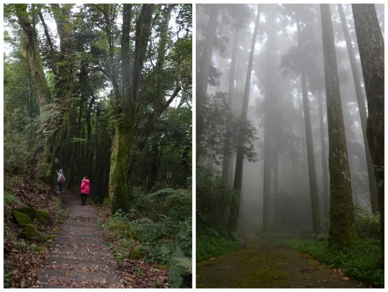 GOGO奮起湖，家庭旅遊去