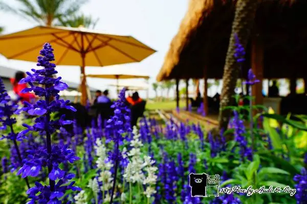 【雲林。斗六】雅聞峇里海岸觀光工廠。親子沙灘。南洋渡假風