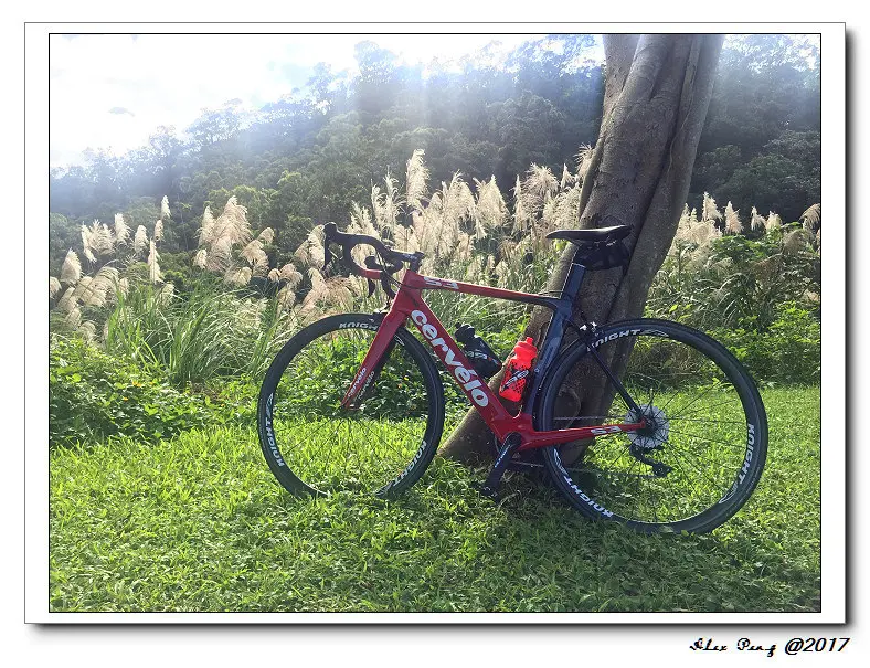 台北市-文山區-等一個人咖啡 景美本店