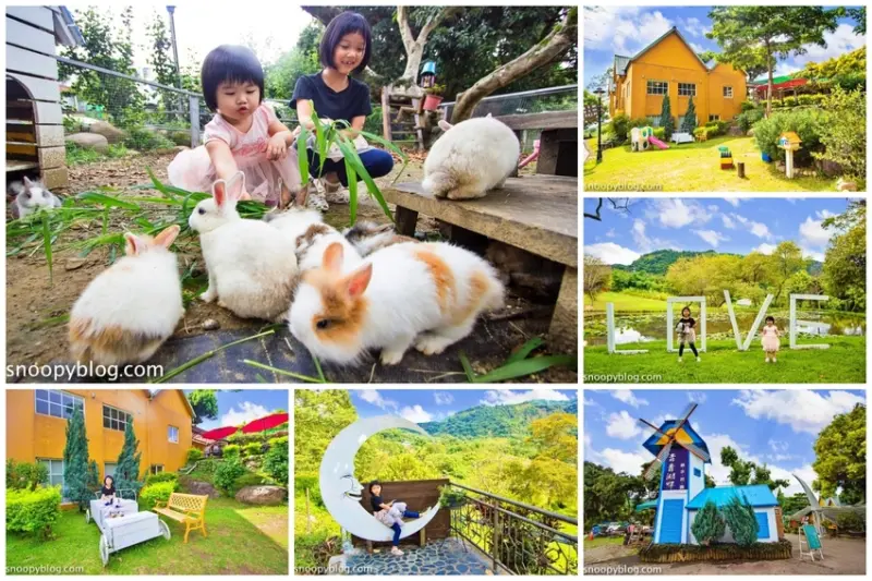 【台中景點】大坑親子景點｜青青湖畔親水花園～10元銅板價餵兔兔，兒童遊具輕鬆遛小孩、超美LOVE蓮荷湖情侶必拍
