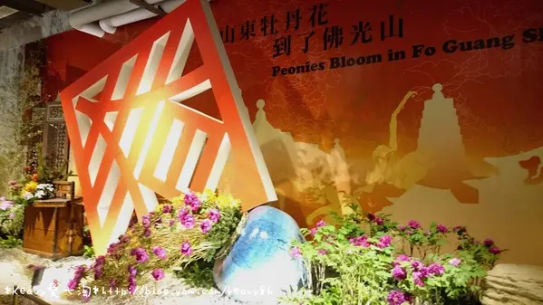 ★高雄大樹★山東牡丹花到了【佛光山】