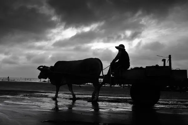 【遇見so fresh】與芳苑的海上騎士一探蚵仔寶藏