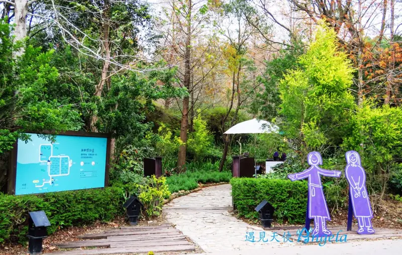 薰衣草花開了~來明德水庫薰衣草森林漫步拍美照 - 遇見天使~Angela