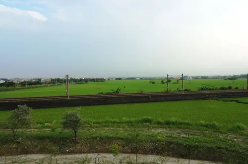 宜蘭民宿推薦-置身一望無際的稻田中，入住超大陽台百年檜木＂工匠家小木屋民宿＂