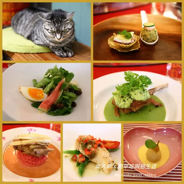 『食記』台北市．捷運市政府站．屋頂上的貓私廚(失望大於期待)