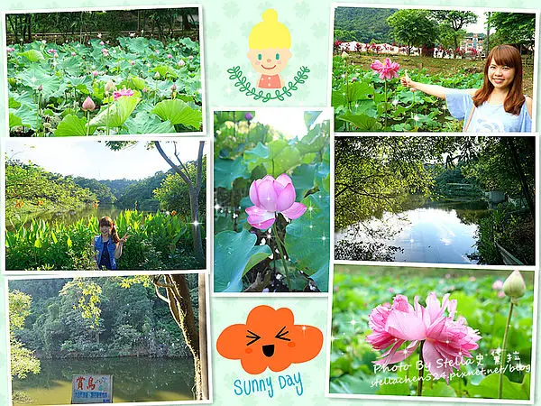 【新北市】夏荷物語✿汐止「鄉長」的私房景點荷花綻放中@大埤荷花池（二訪）