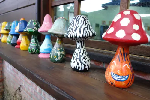 南投-埔里小確幸2天1夜輕旅行