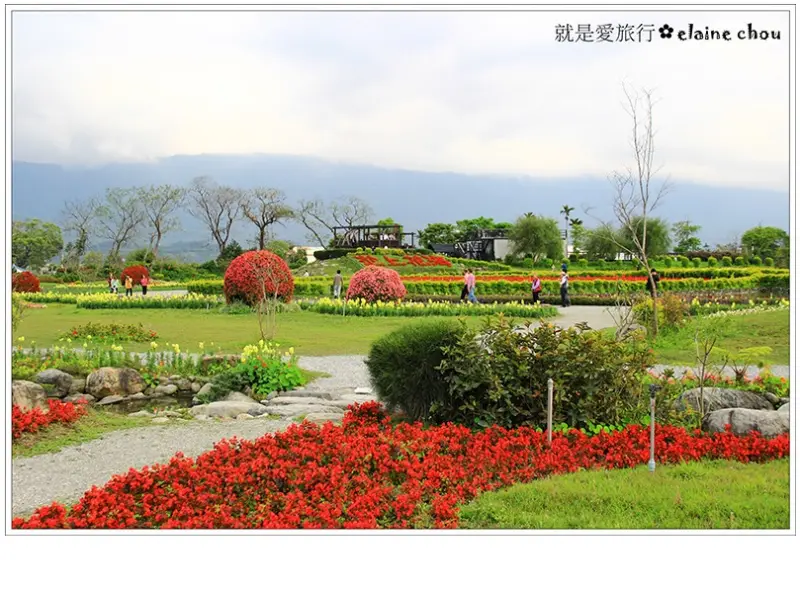 池上鄉農會四季花海