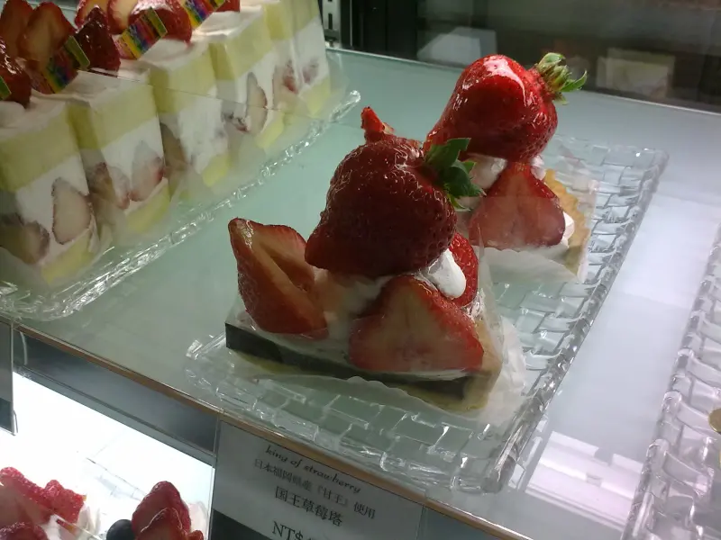 中文名字超難念之Arrow Tree