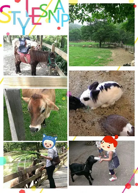 快閃飛牛1日遊-小確幸