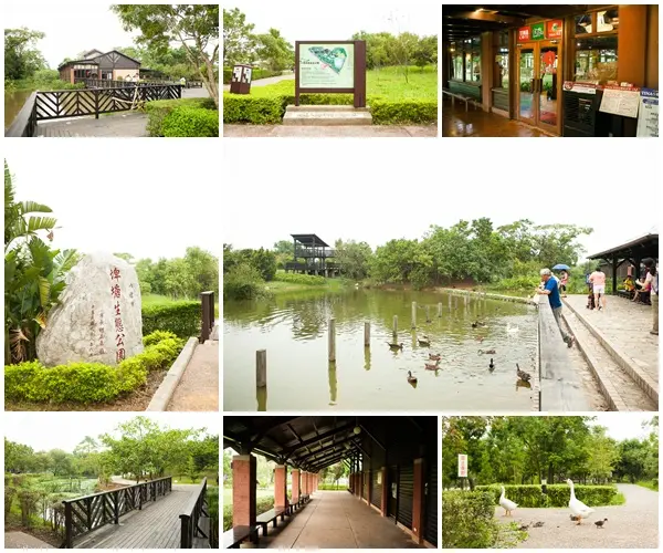 【八德區】親子寵物好趣處◎埤塘生態公園