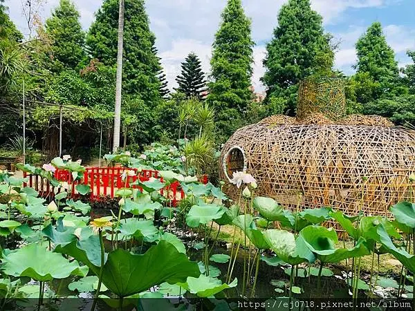  桃園觀音景點推薦：蓮荷園休閒農場/ WalkerLand窩客島整理提供 未經許可不可轉載