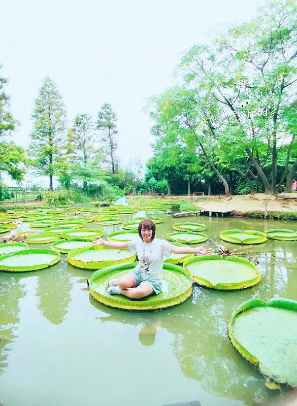 【遊】蓮荷園休閒農場：乘坐大王蓮，練練水上漂，一起來當姆指姑娘～季節限定！ @ 魚兒 x 牽手明太子的「視」界旅行