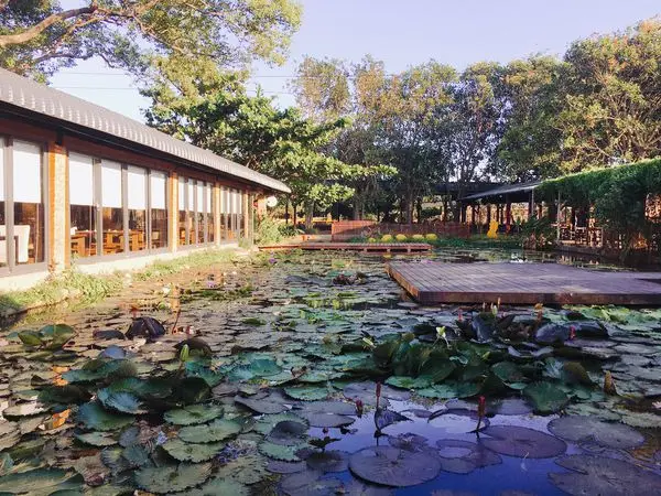 【桃園】林家古厝旁的休閒農場賞蓮花♥用餐♥兒時記趣