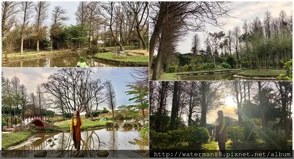 ｜桃園落羽松秘境｜- 隱密田中、不同角度都能拍出仙境的花園、沉浸在500種植物的圍繞、稻草創作者的夢想園地