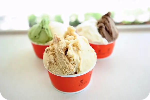 【宜蘭冰品】夏蕾義式冰淇淋。頂級多層次果香的冰淇淋～