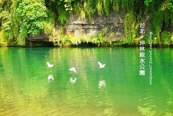 [台北。坪林] 這裡是世外桃源嗎(揉眼)?? 漸層翡翠青綠湖水美翻了坪林親水公園