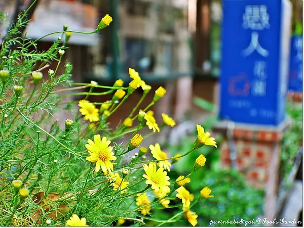 【高雄】推平日限定149套餐～愚人花園