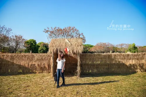 《雲林虎尾》農博生態園區 稻草編織成鄉村風迷宮！免費入園景點推薦
