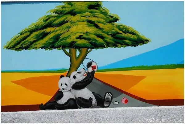 『雲林。斗南』石龜溪の貓熊║萌翻了-3D彩繪貓熊。互動式3D彩繪圍牆-彩繪社區