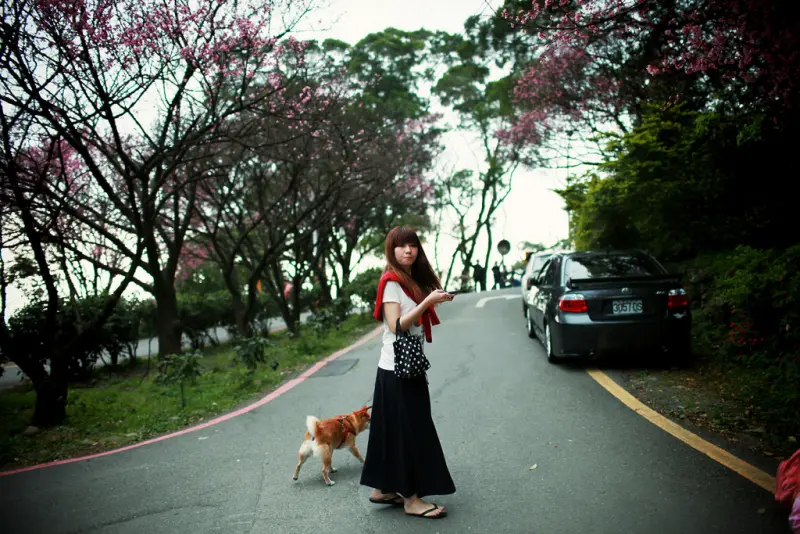 小狗的天秀宮散策