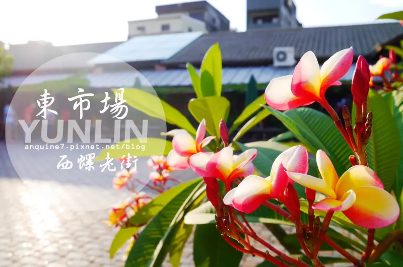 [雲林。西螺] 沒賣鮮肉蔬果的東市場！只賣滿滿綠意的小小文創市集