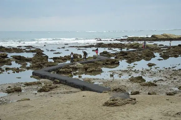 杉原海洋生態公園「富山禁漁區」~~在海邊體驗餵魚的樂趣