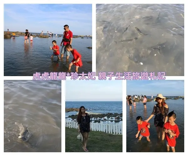 『台東景點』珊瑚群潮間帶天然餵魚趣||衫原海洋生態公園||富山禁漁區!