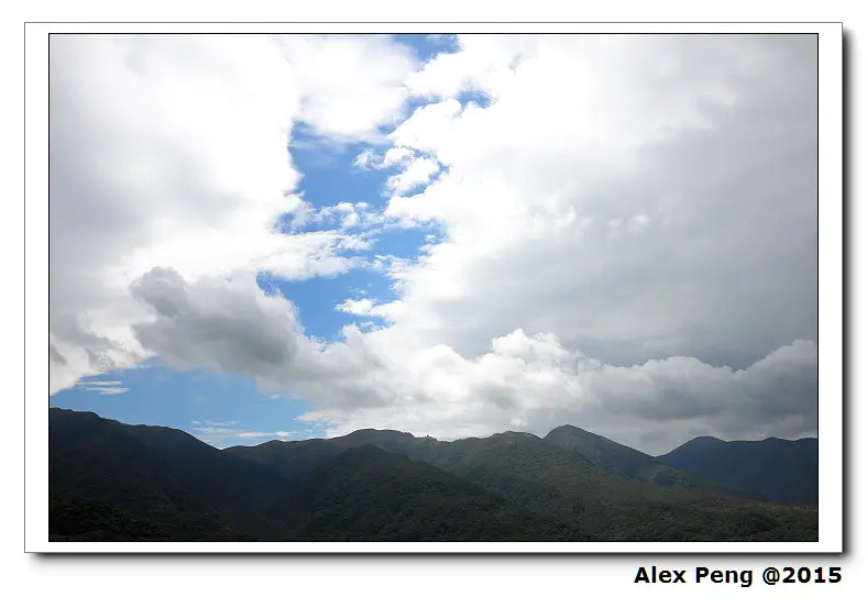 新北市-三芝-番婆林牛排 N訪