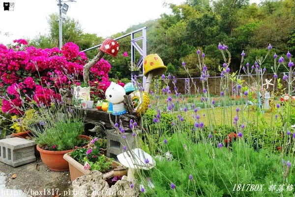 【高雄。甲仙】踏訪療癒系農場。陳家友善香草園。甲仙旅遊景點