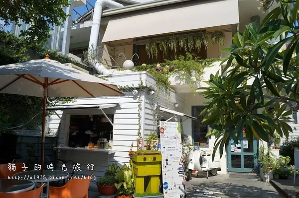 台中西區→R星咖啡。親子同樂有貓咖啡店