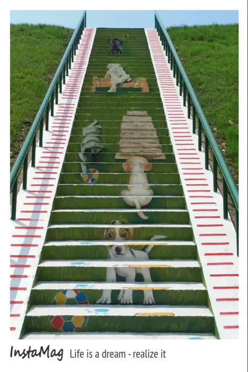 蘆洲新亮點&河堤寵物公園狗狗樓梯3D彩繪快來朝聖~