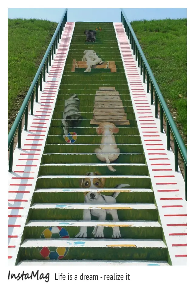 蘆洲新亮點&河堤寵物公園狗狗樓梯3D彩繪快來朝聖~