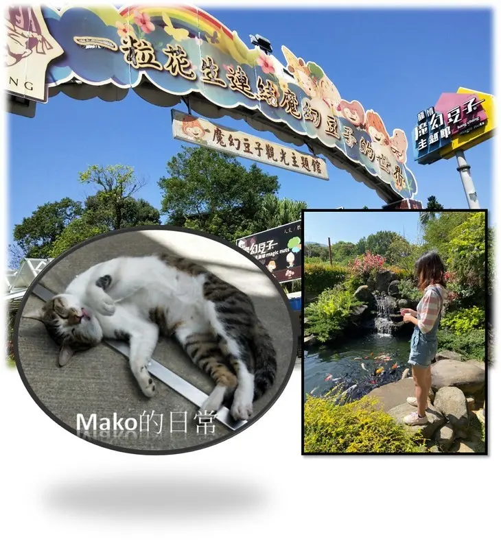 【桃園景點】園藝市集＿魔幻豆子＿休閒愜意好放鬆