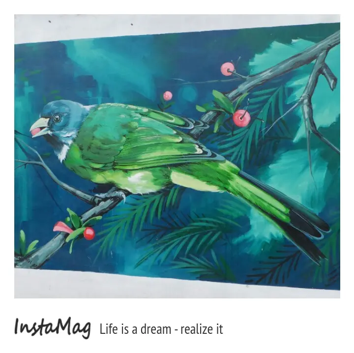 太平小鳥彩繪社區